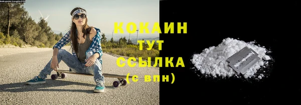 трава Белокуриха