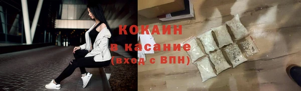 трава Белокуриха