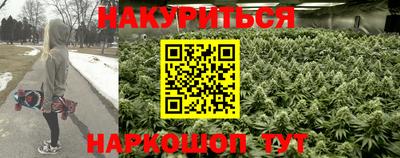 СК Краснодар