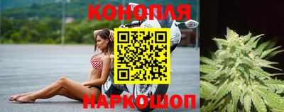 СК Краснодар