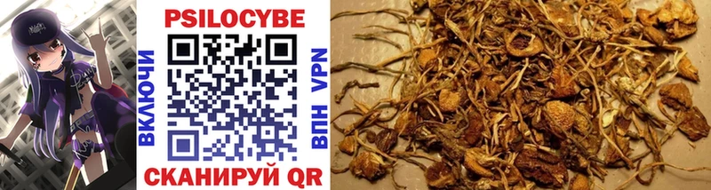 Псилоцибиновые грибы GOLDEN TEACHER  kraken ССЫЛКА  darknet официальный сайт  Улан-Удэ 