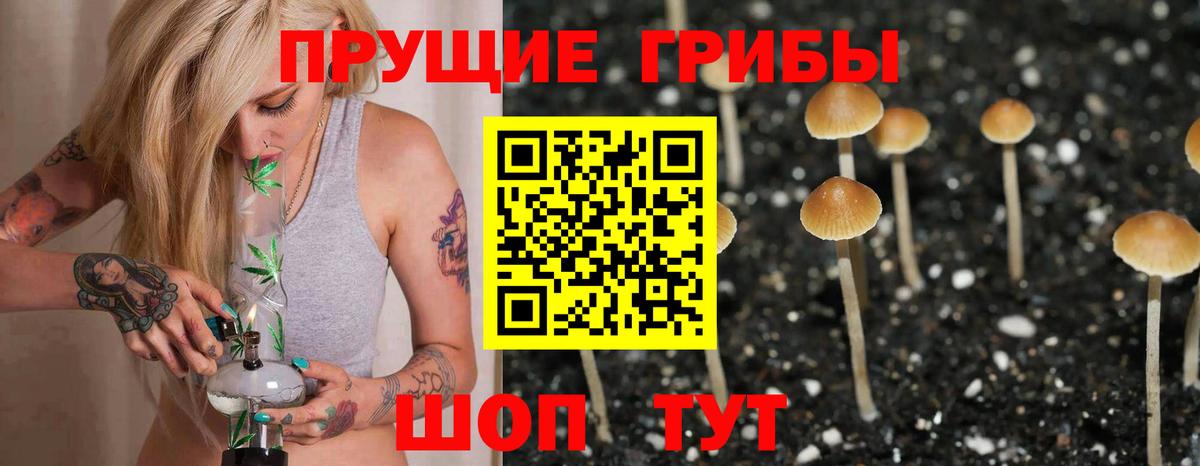 Улан-Удэ  Галлюциногенные грибы прущие грибы  Вход с VPN 