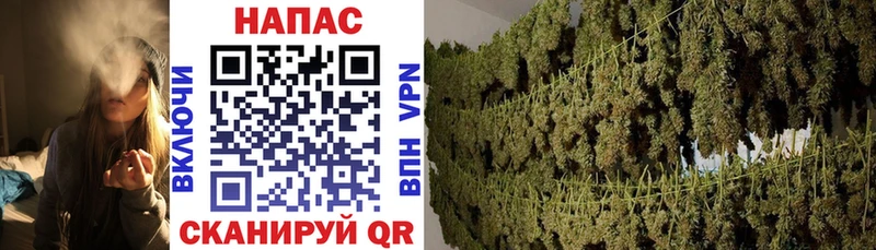 Конопля Ganja  дарк нет формула  Улан-Удэ 